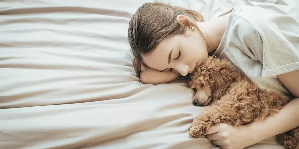 Women Sleep Better with Dogs by Their Sides, Study Finds