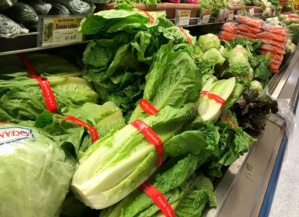 CDC Warning Americans Not To Eat Any Romaine Lettuce Until Further Notice Due to E. Coli Concerns