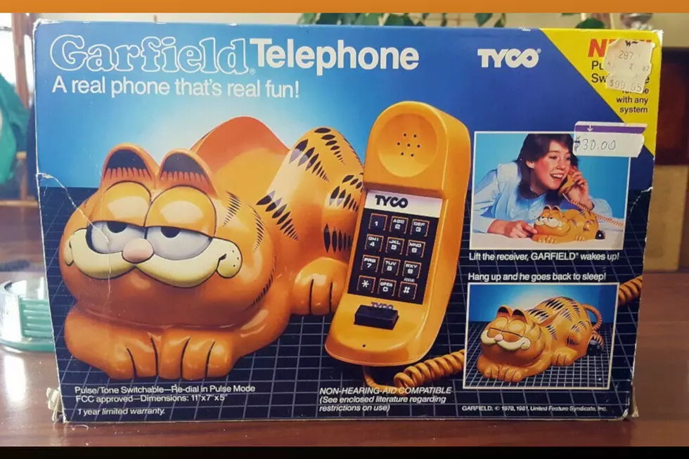 Mystery of Garfield Phones Washing Ashore in France Solved