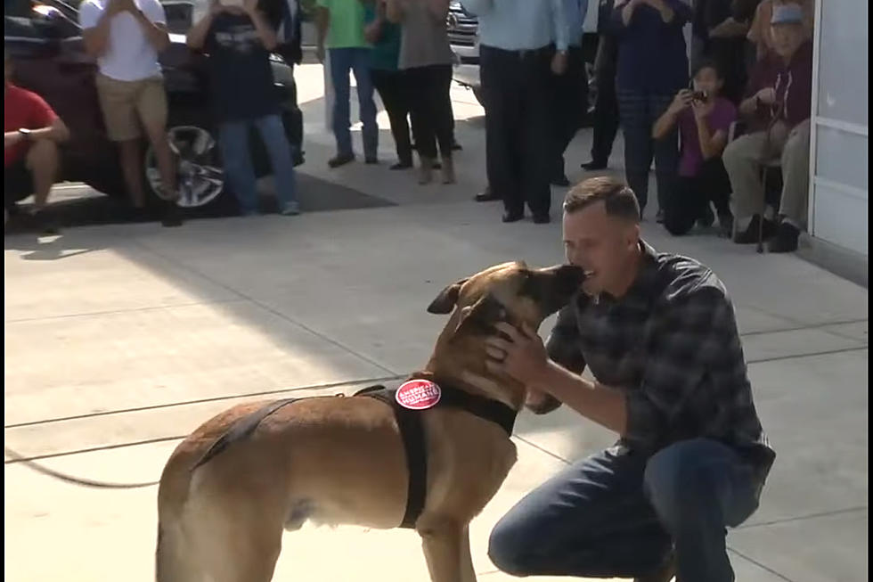 Marine Reunited with Dog in San Antonio