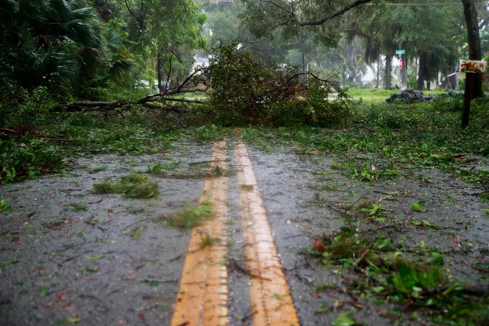 Free Storm Debris Drop-Off in Lampasas