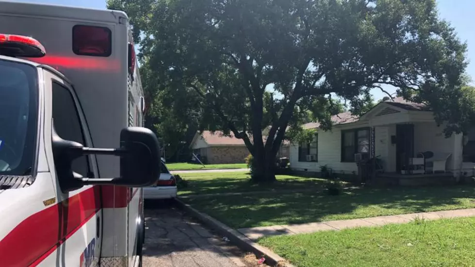 Waco Woman Struck by Falling Tree Limb Taken to Hospital