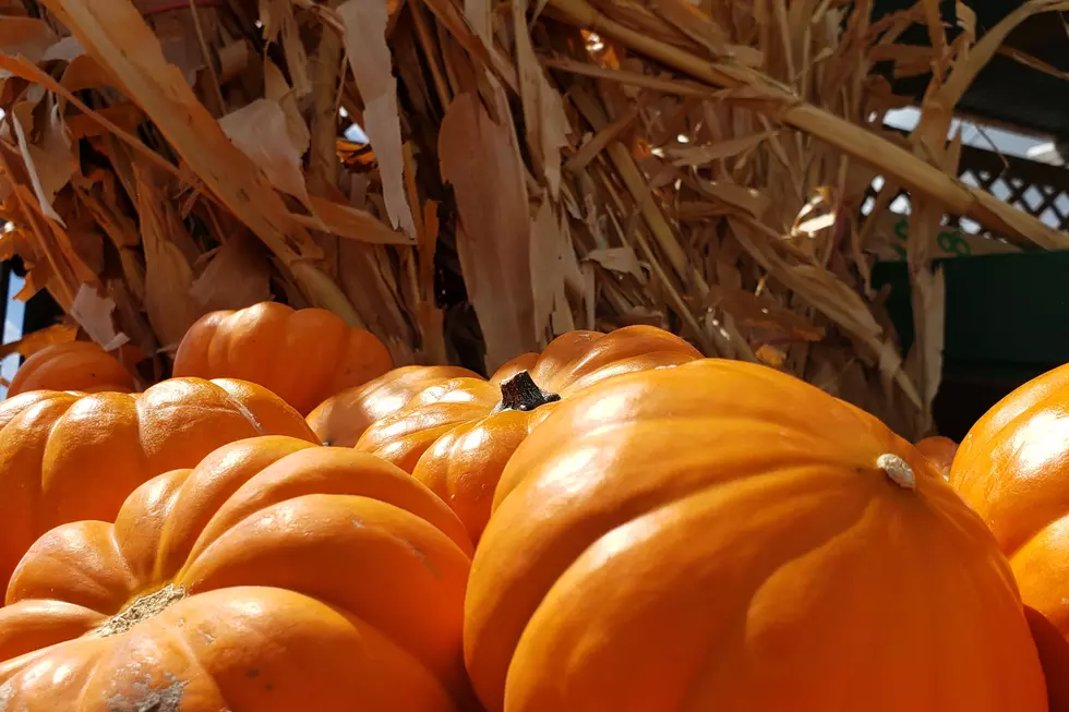 Pumpkin Items Every Texan Can Use