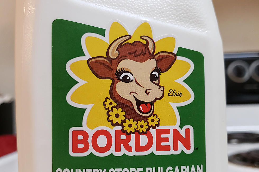 Another Major US Dairy, Borden, Seeks Bankruptcy Protection