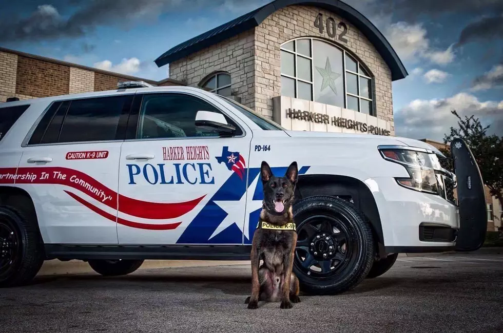 Enroll in the Harker Heights Citizens Police Academy