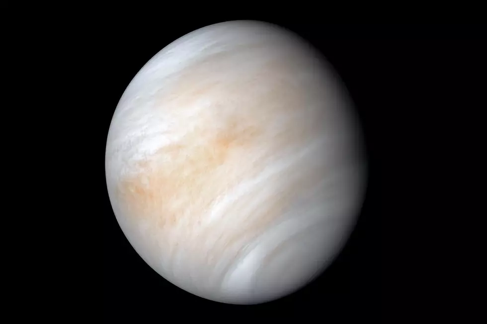 Astronomers See Possible Hints of Life in Venus’s Clouds