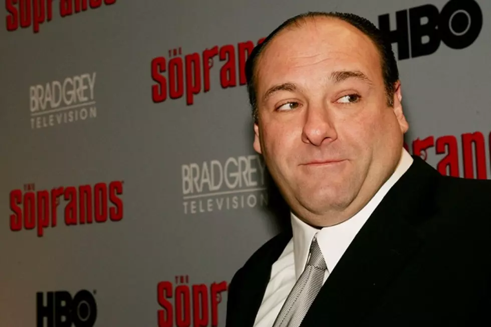 What I Learned From Tony Soprano