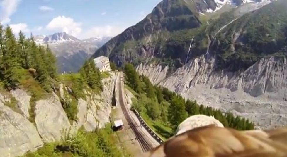 Crazy ‘Eagle Point of View’ Video Goes Viral! (Watch Here!)