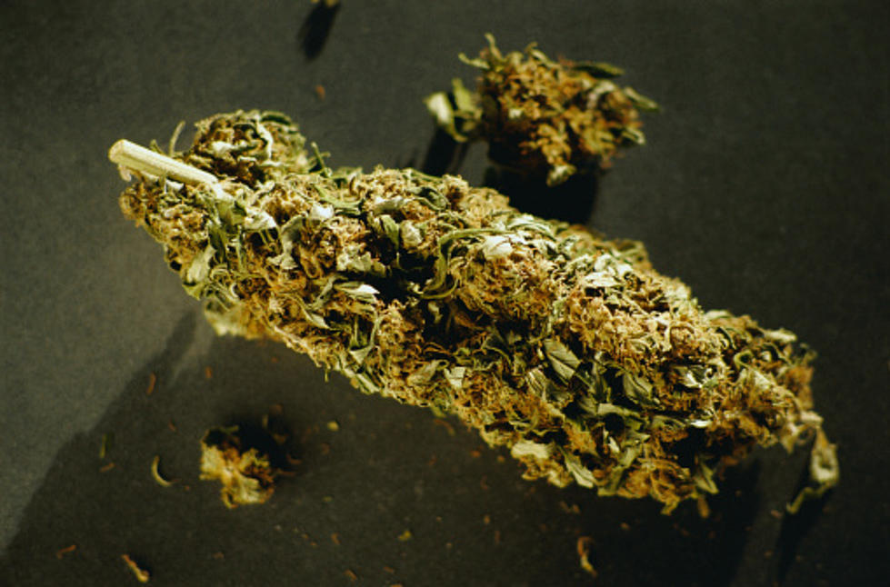 Marijuana a Step Closer to Being Decriminalized in Texas?