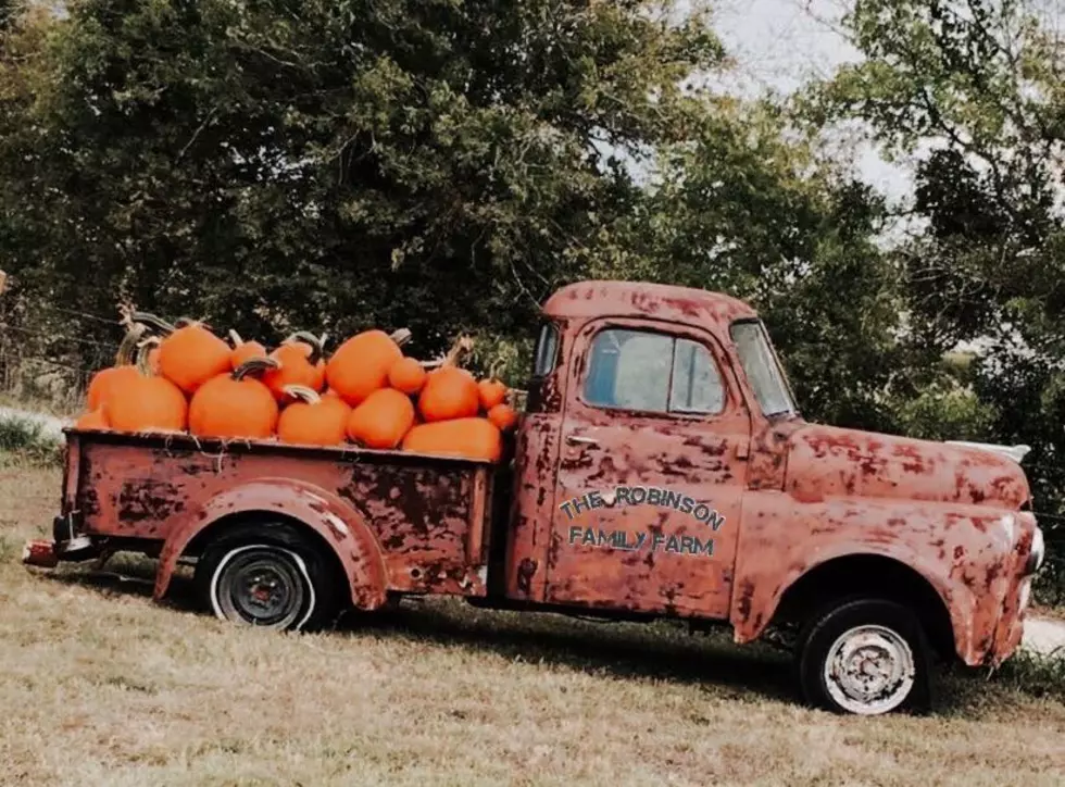 The Robinson's Family Farm Pumpkin Patch Is Officially Open