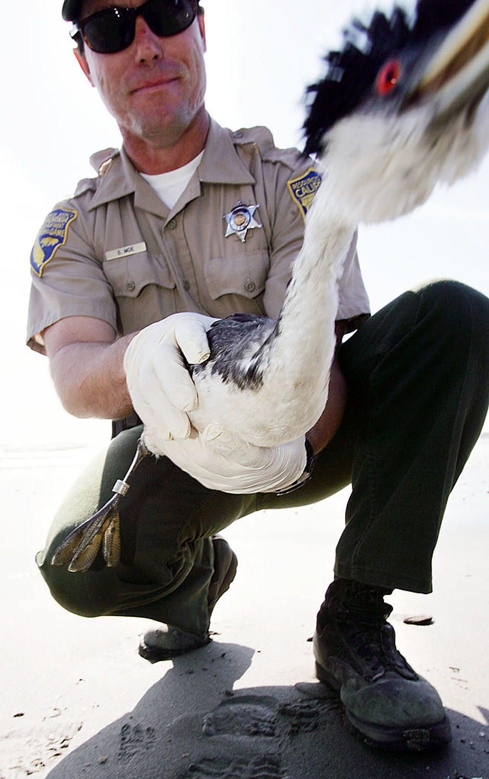 Texas Game Warden and State Park Police now taking applicants