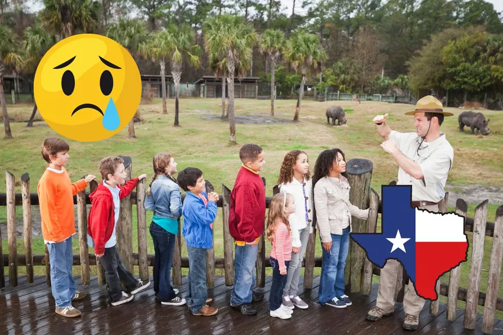 Devastating Loss, Beloved Texas Zoo Animal Now Dead