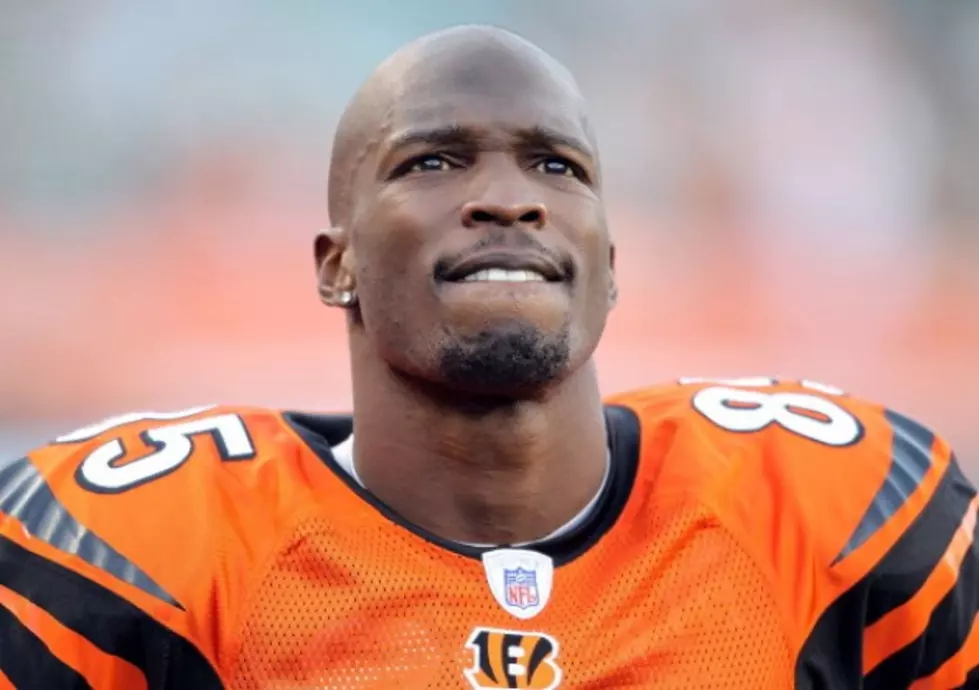 Chad Johnson Cut By Dolphins After Weekend Arrest