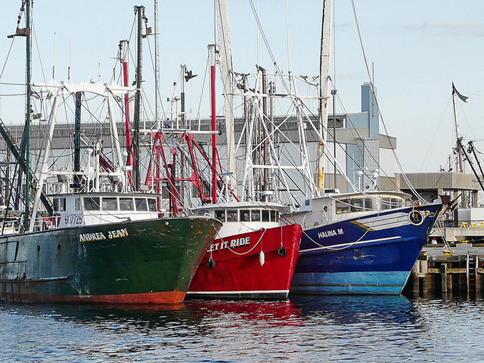 Port Authority to Serve as Representative of Fishing Industry
