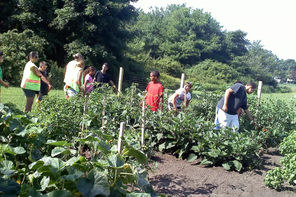 Children&#8217;s Community Garden Unveiled in New Bedford South End