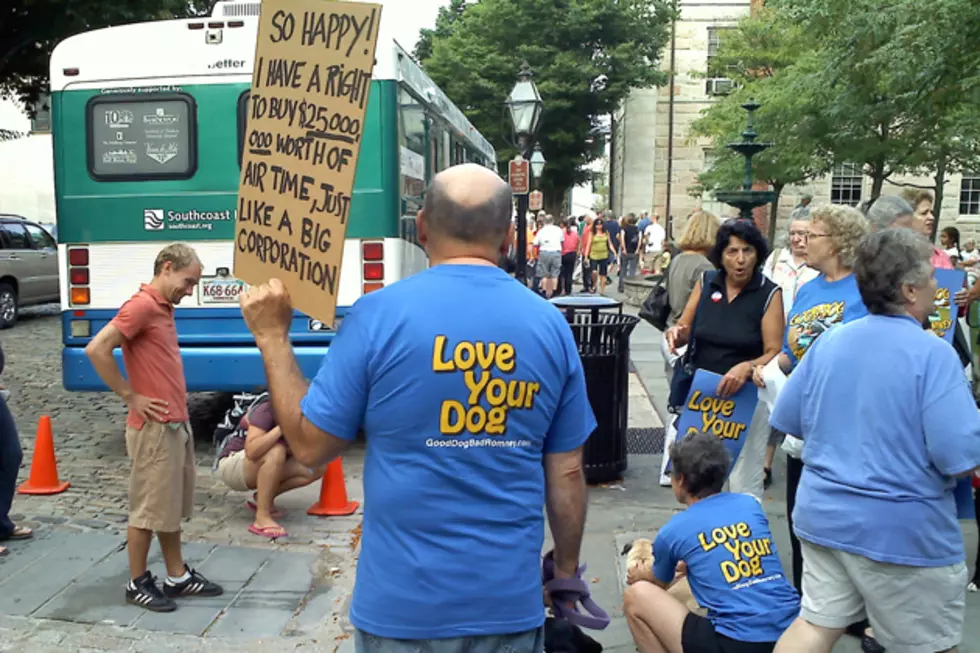 Dog Owners Protest Against Romney [AUDIO]