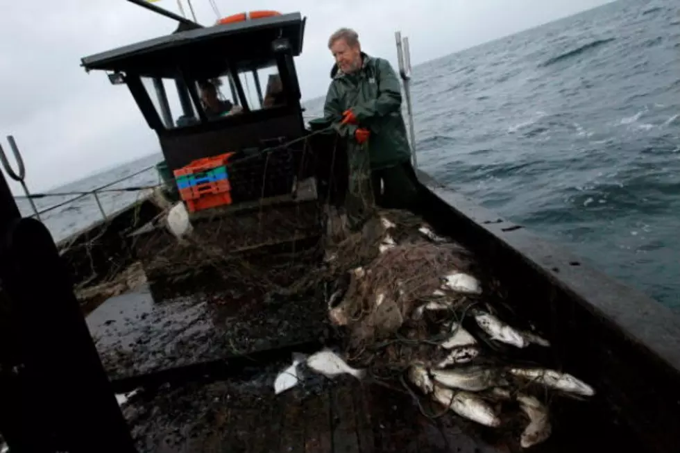 Smaller Northeast Fishing Fleet Caught More Fish, More Revenue In 2011