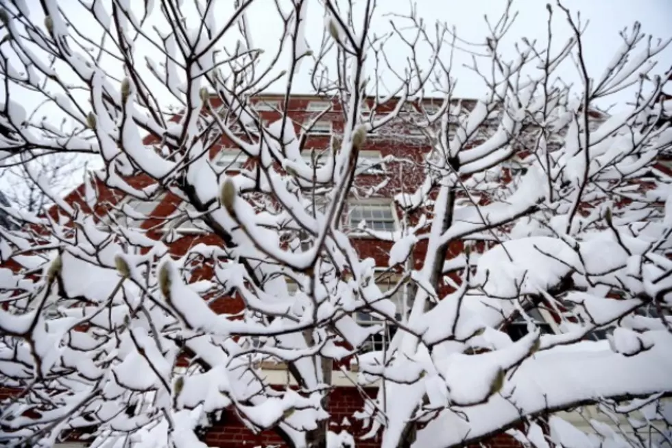 Snow Falling Across New England – How Much Snow Did Massachusetts Get?