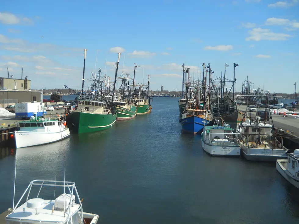 Council Votes for Fishing Crisis Summit; Gomes Calls Out Senators