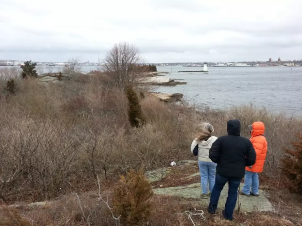 New Bedford Officials Plan Palmer&#8217;s Island Restoration Project