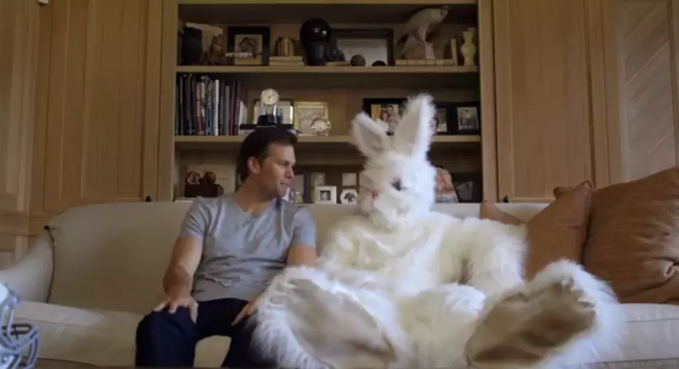 Easter Bunny Sorry for Handing Out Unhealthy Candy, Gets Help From Celebrity Friends