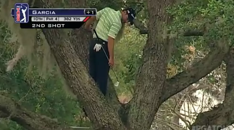 Watch Sergio Garcia Hit the Ball out of a Tree With One Hand