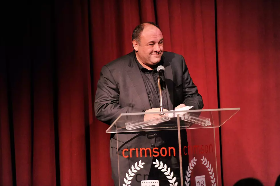 New Details On The Death Of James Gandolfini