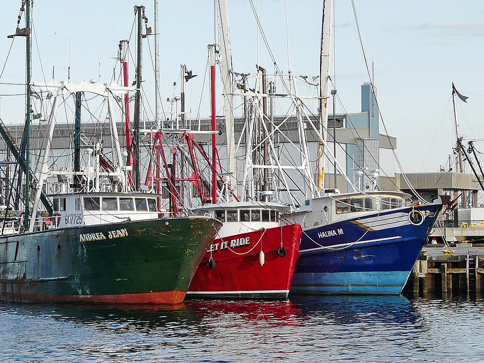 NOAA Proposes To Open Areas For Fishing Off Cape Cod