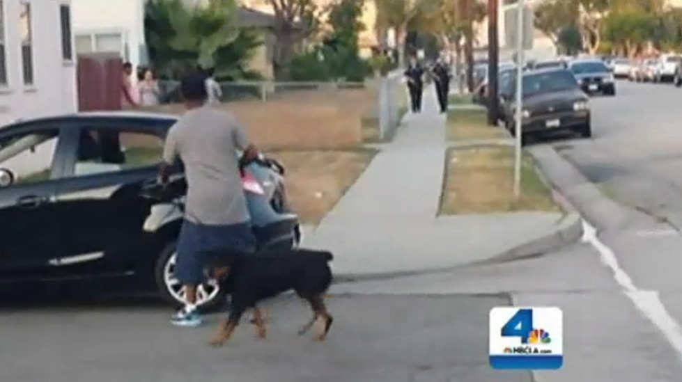 California Police Video Taped Shooting Dog, While Arresting Owner