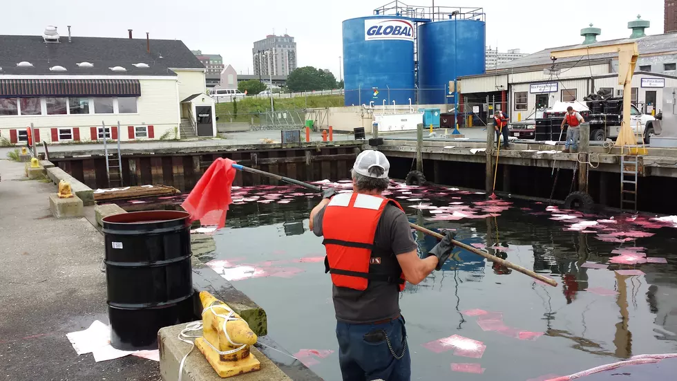 New Bedford Harbor Oil Spill
