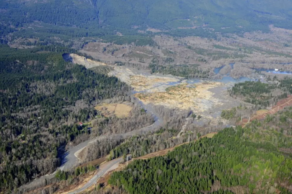  Search for Survivors After Mudslide