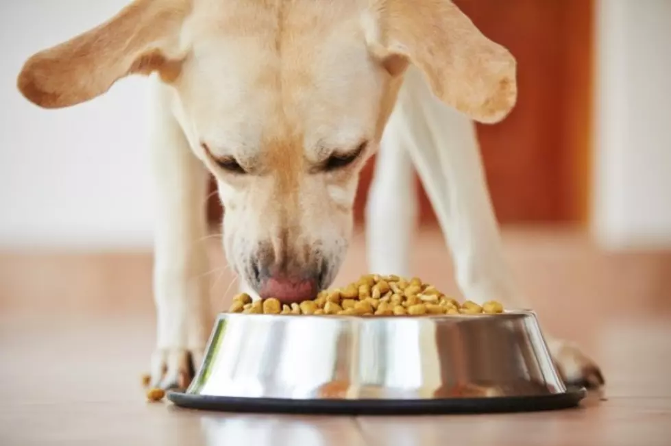 Support Needed For Local Senior Citizens Pet Food Pantry