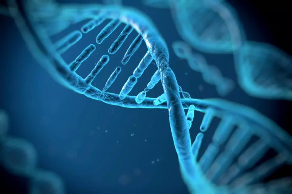 DNA Diet Could Help You Lose 33 Percent More Weight [VIDEO]