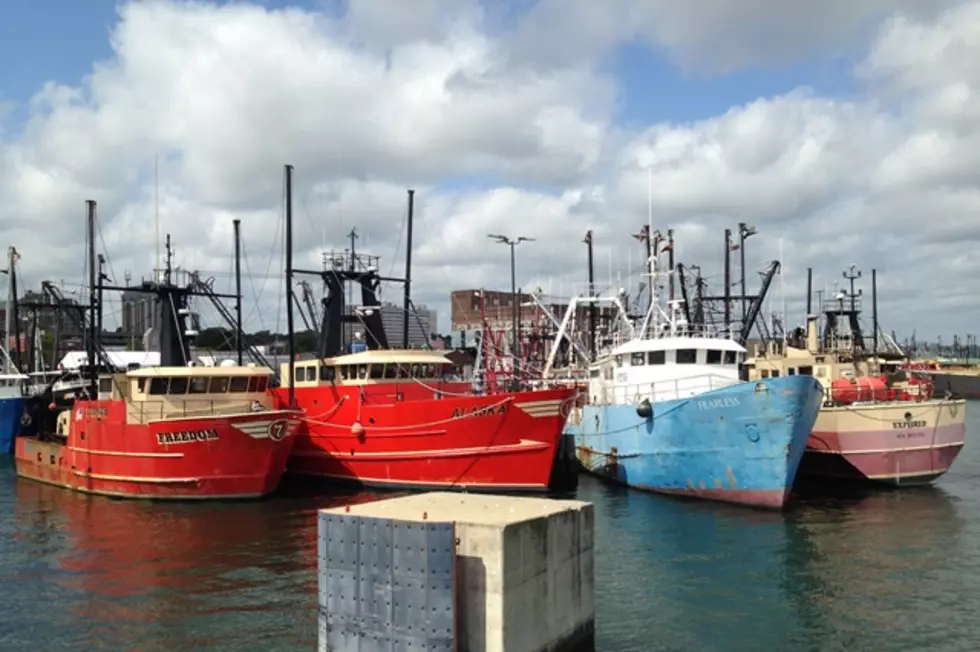 Harbormaster Search Begins