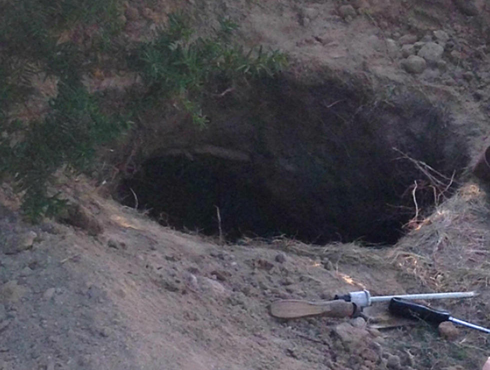 Man Caught Digging Hole