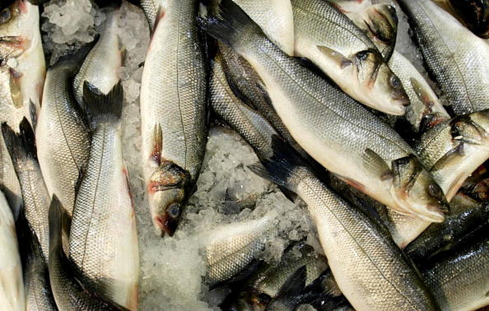 Regulators To Vote On 2015 Cod Fishing Rules