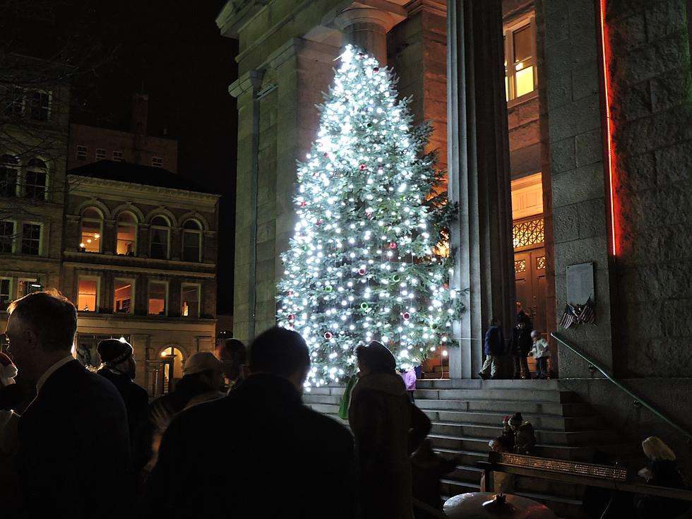 City’s Christmas Tree Dazzles Holiday Crowd