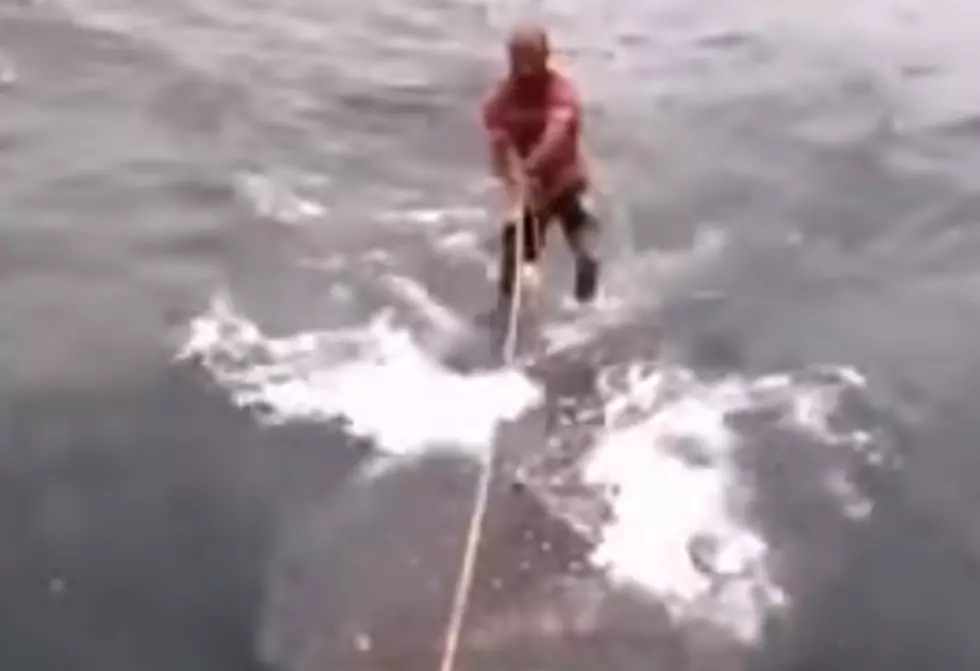 Is Shark Surfing a Crime? [VIDEO]