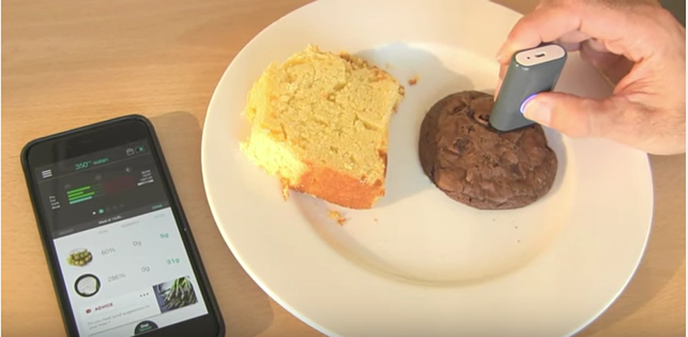 DietSensor Breaks Down Nutritional Value of Food [VIDEO]