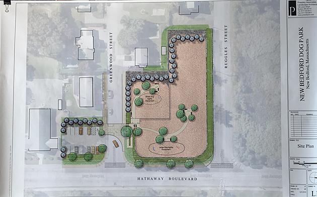 Plans for City Dog Park Move Ahead