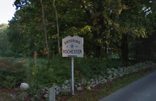 Rochester Named &#8216;Tree City&#8217;