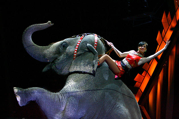 Final Performance of Ringling Brothers Elephants