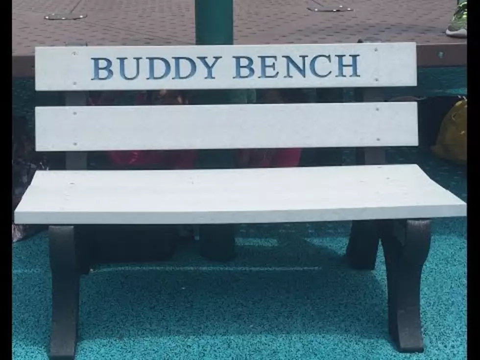 Wood School Buddy Bench is a Success [VIDEO]