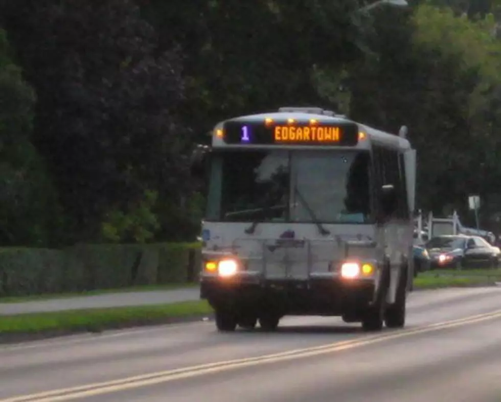 Seven Injured In Edgartown Bus Crash