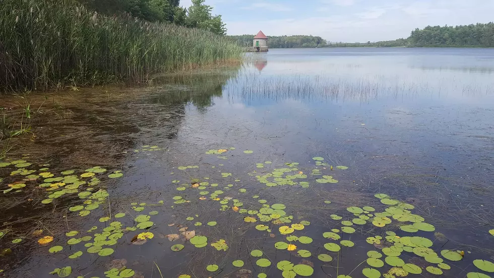 Mandatory Water Ban in Three Southcoast Communities