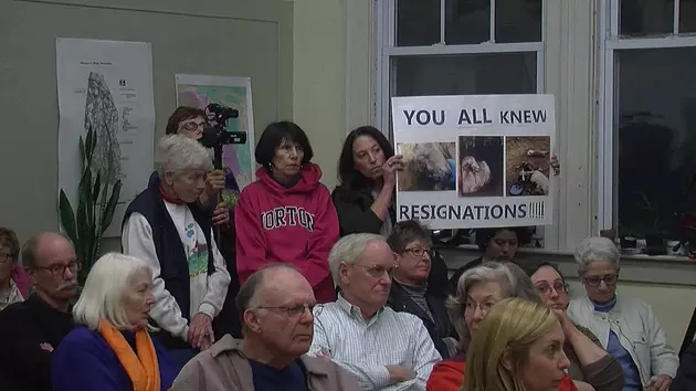 Calls For Resignation During Westport Board Of Health Meeting