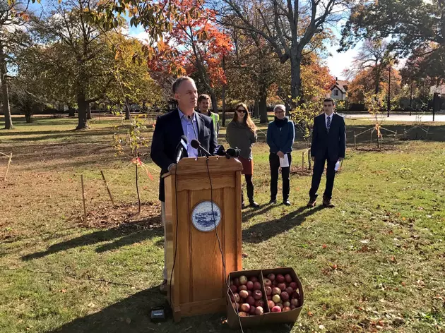 Public Orchard Unveiled at Hazelwood Park