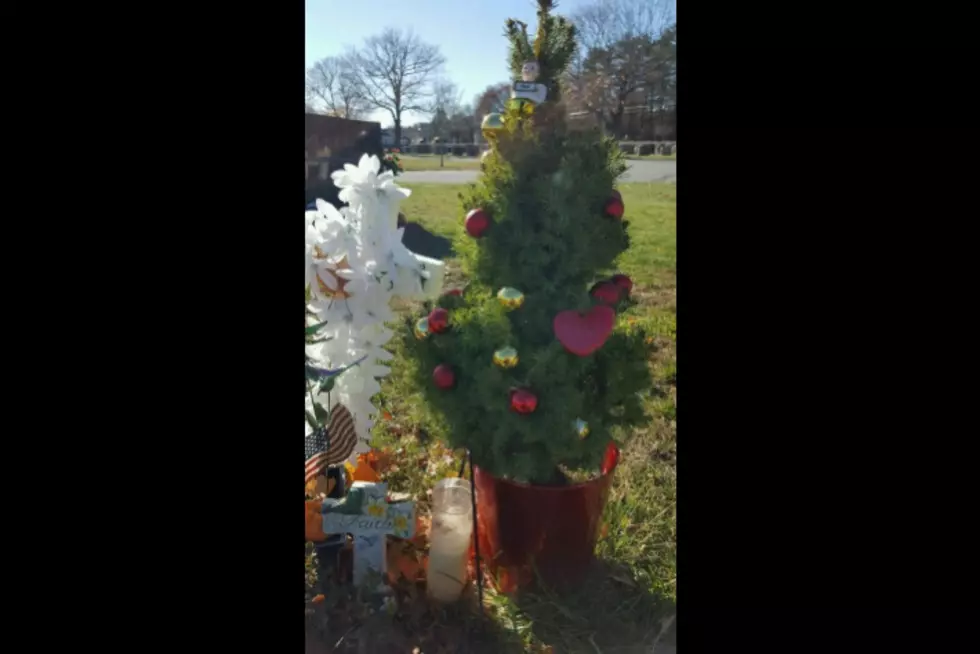 Heartbreaking Story Moves Local DJ to Replace Noah’s Christmas Tree [VIDEO]