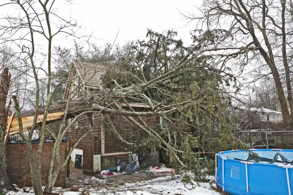Tree Crashes Into Fairhaven Home During Winter Storm ‘Stella’