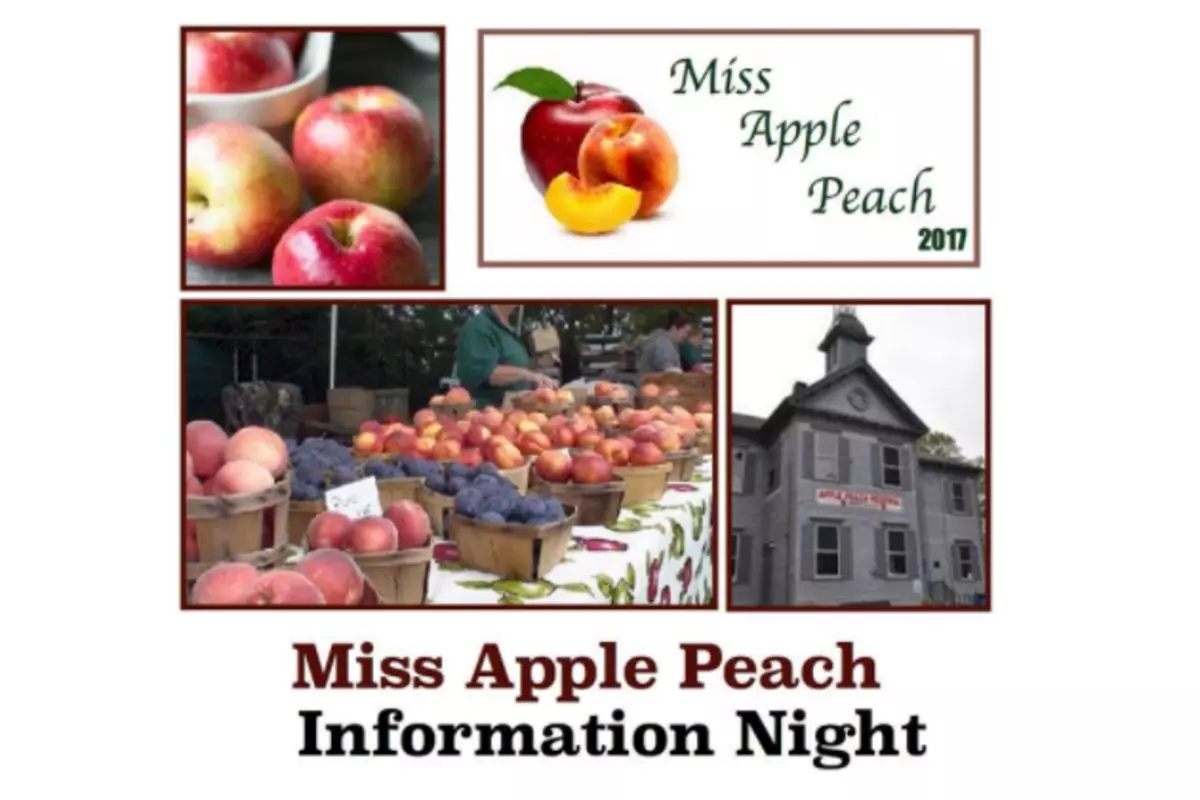Miss Apple Peach Pageant Information Night July 11 In